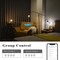 Homevenus Smart LED Bulb Edison ST64 E26 Vintage Spiral Filament Dimmable Cool to Warm, WHT 2100-5000K 350LM 6W SY-TF2CST64-01 - alternate 2